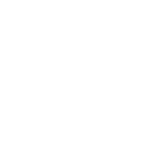 MIT Press